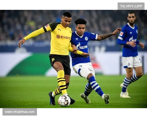 多特主场上座人数81365人位列德国第一 多特主场上座人数81365人位列德国第一